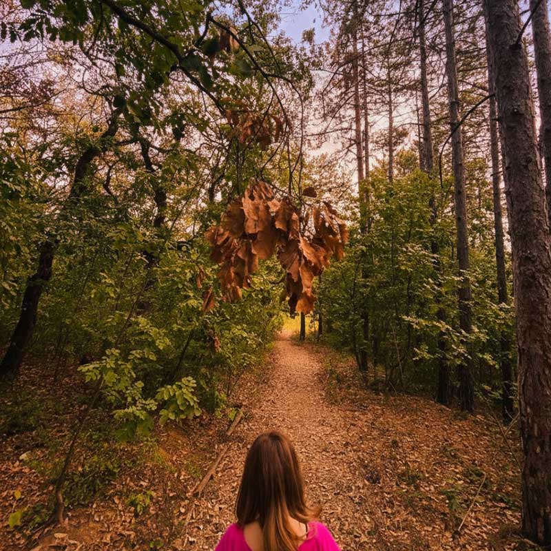 Optimizacija srčanog ritma HRV romantična Fruška gora vikend za dvoje u prirodi