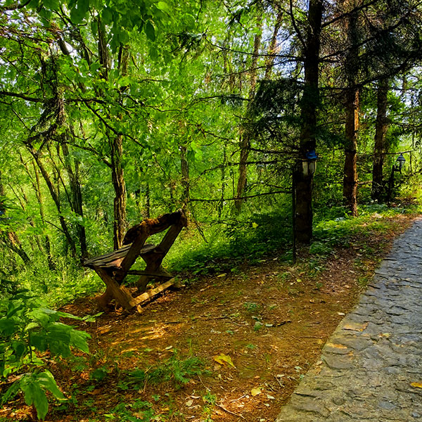 Sportski teren pored brvnare za rekreaciju u prirodi