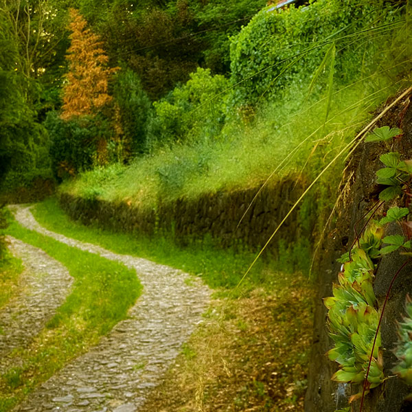 Pogled sa terase na brežuljke Fruške gore