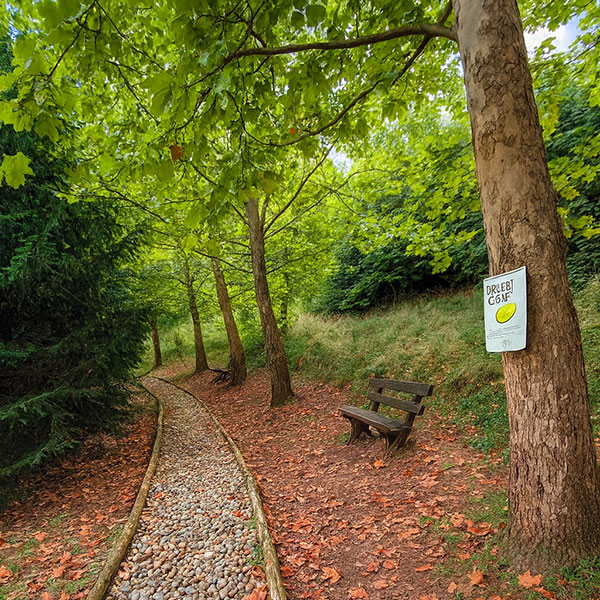 Prostor za opuštanje sa ležaljkama u dvorištu brvnare